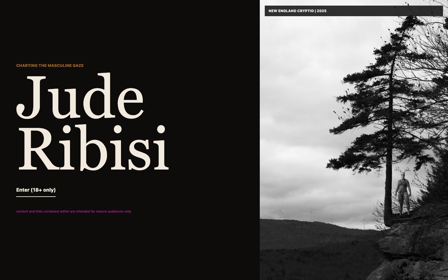 Screenshot preview of Jude Ribisi’s website